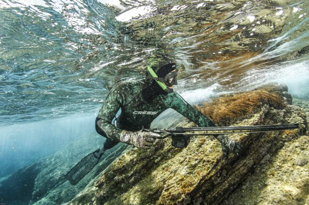 Pesca submarina:Información, qué es, cómo aprender y practicar